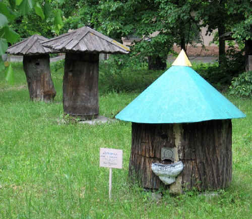 IMG_0825.jpg (177433 bytes)