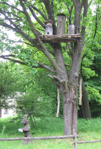 IMG_0827.jpg (112978 bytes)