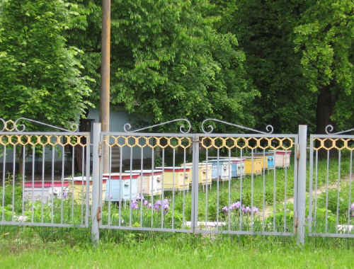 IMG_0833.jpg (173536 bytes)