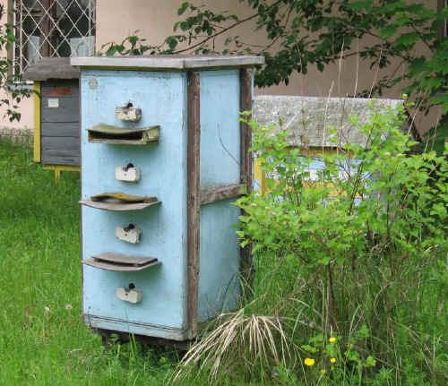 IMG_0840.jpg (175615 bytes)