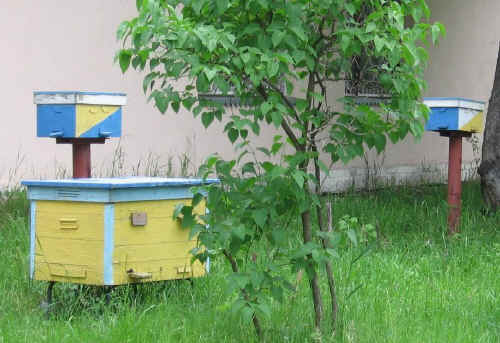 IMG_0842.jpg (121699 bytes)