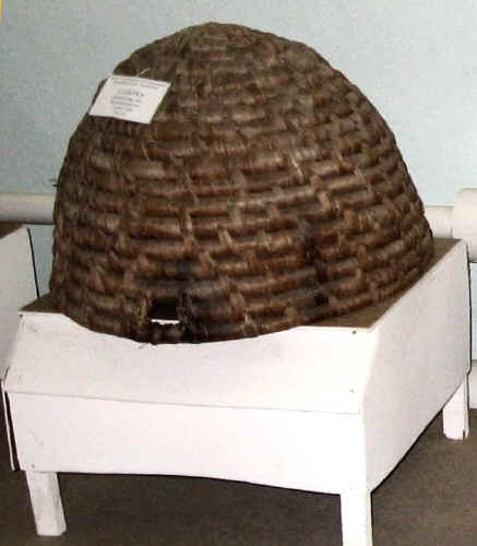 IMG_0854a.jpg (76546 bytes)