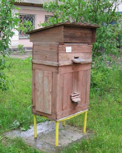 IMG_0891.jpg (103653 bytes)