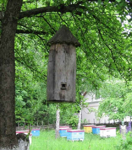 IMG_0898.jpg (135050 bytes)