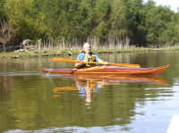 Grapevines.jpg (105235 bytes)