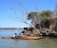 LW_3-23-2003-3.jpg (284618 bytes)