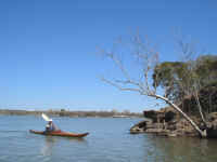 LW_3-23-2003-5.jpg (240409 bytes)