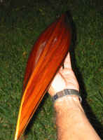 100-0004_img_4.jpg (165497 bytes)