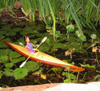 100-0006_img_4.jpg (295525 bytes)