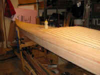 NH Stern1.jpg (37400 bytes)