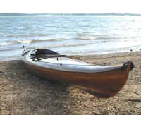 Sport_stern1.JPG (230237 bytes)