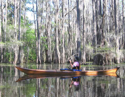 On Caddo Lake